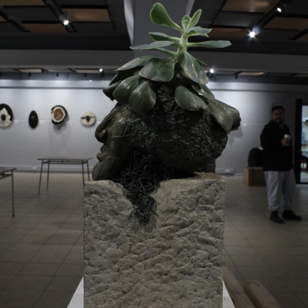 Imagen de la galería
